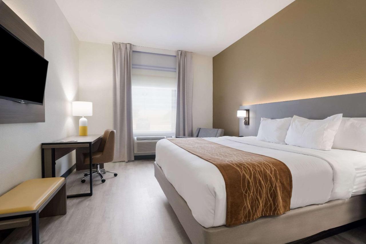 Comfort & North Hotel