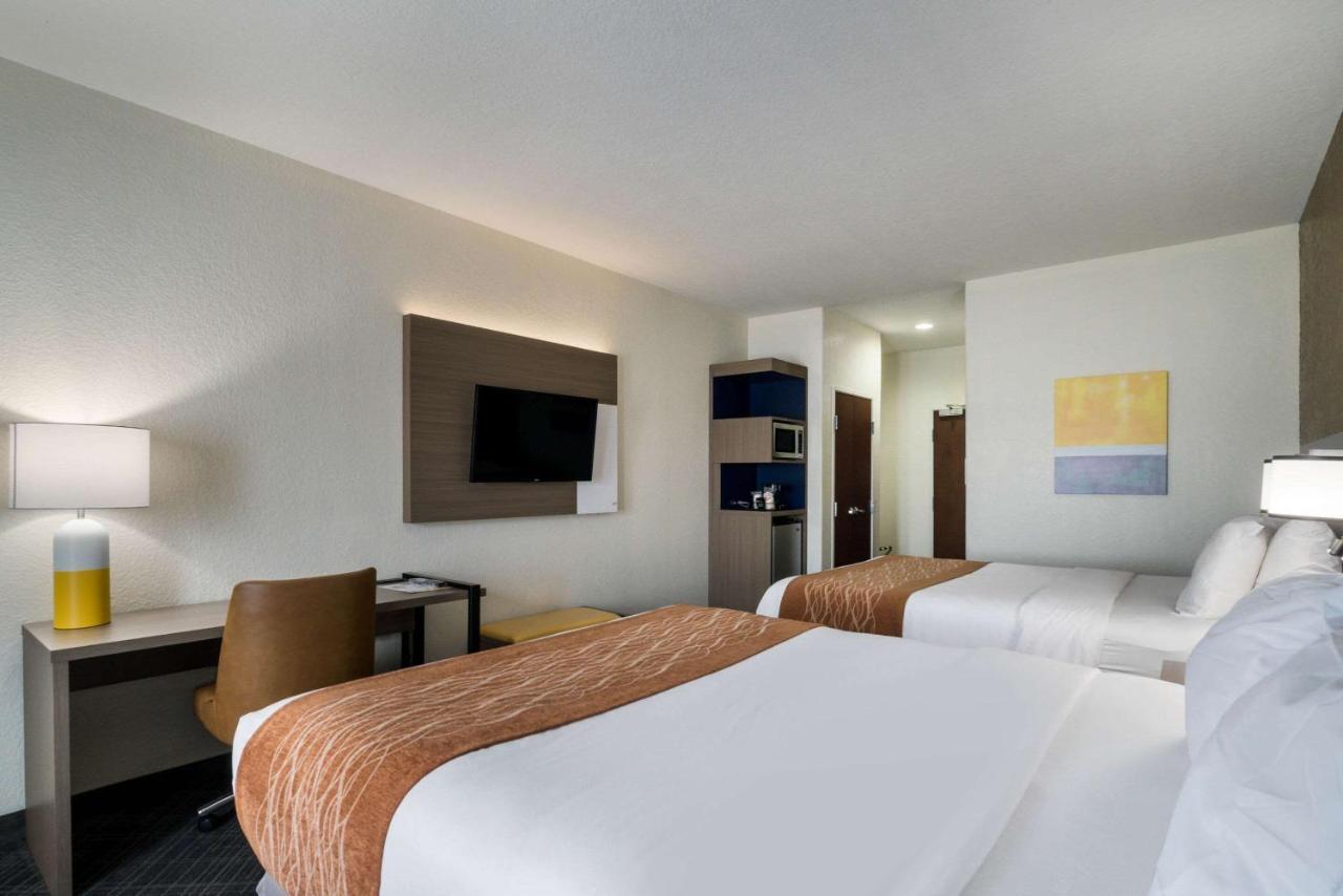 Comfort & North Hotel 3*